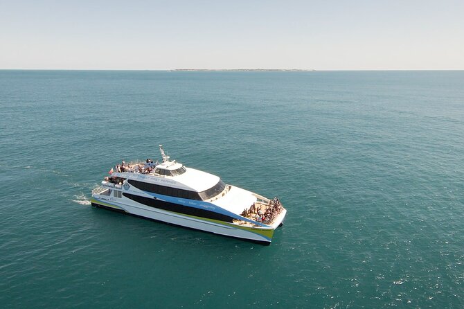 2 Hour Whale-Watching Cruise from Hillarys Boat Harbour - Key points to know before you book