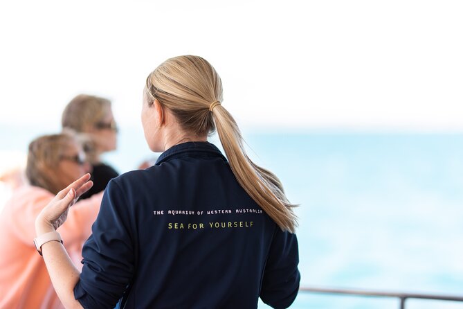2 Hour Whale-Watching Cruise from Hillarys Boat Harbour - Whale sightings are never guaranteed