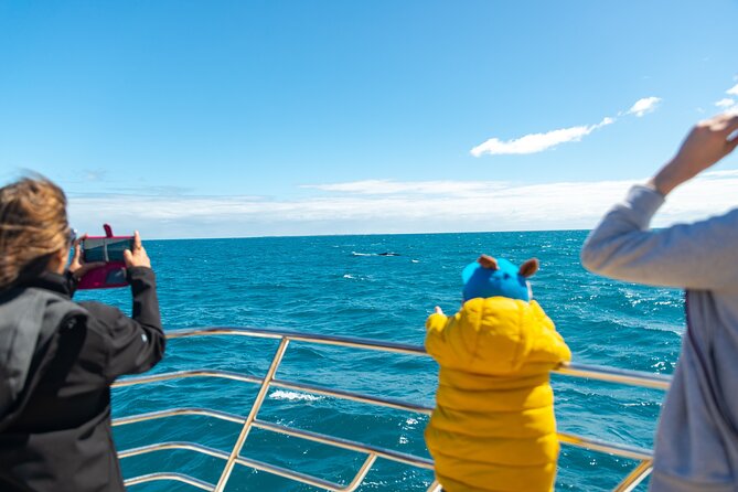 2 Hour Whale-Watching Cruise from Hillarys Boat Harbour - Who will enjoy this cruise most?