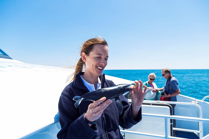 2 Hour Whale-Watching Cruise from Hillarys Boat Harbour - From Perth to Hillarys Boat Harbour