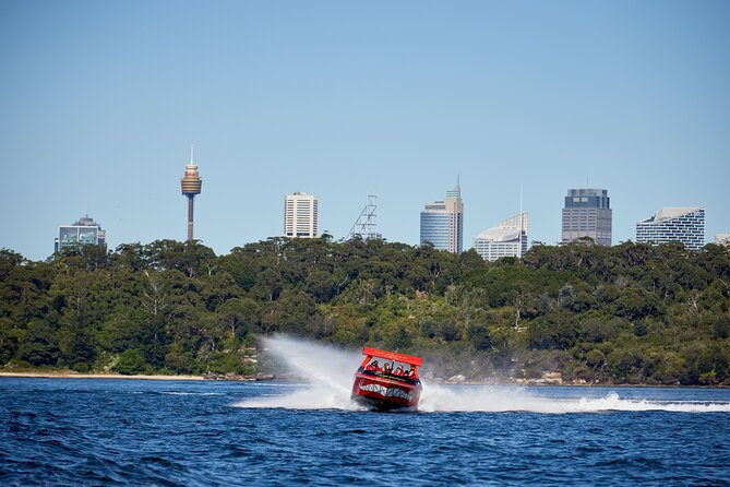 30-Minute Sydney Harbour Jet Boat Thrill Ride - Why getting wet is part of the deal