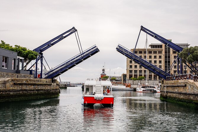 30min Harbour Boat Cruise Cape Town - Is $9.20 good value?