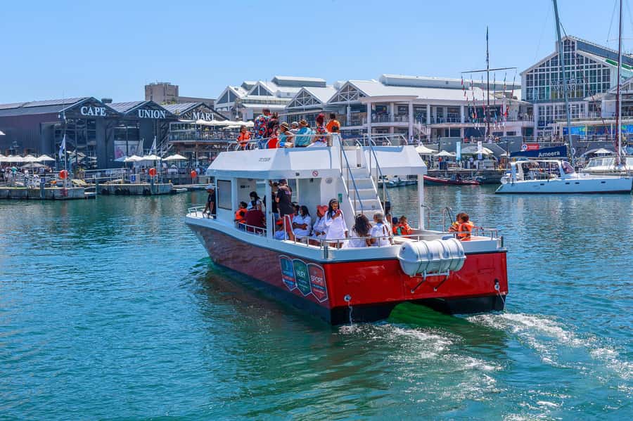 30min V&A Waterfront Harbour Cruise Cape Town - What the 30-minute cruise is really like
