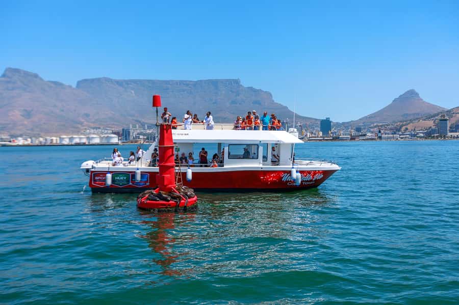 30min V&A Waterfront Harbour Cruise Cape Town - Une Belle Vie, the 47-foot double-decker boat