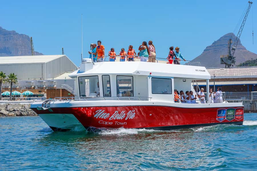 30min V&A Waterfront Harbour Cruise Cape Town - Who should book this harbour cruise?