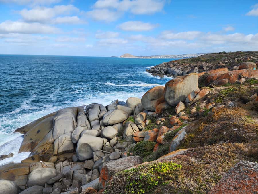 Adelaide: McLaren Vale, Port Elliot & Victor Harbor Tour - Why this Fleurieu Peninsula day works
