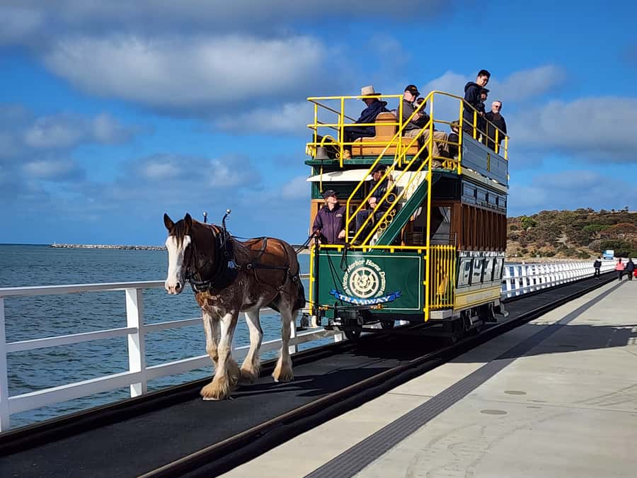 Adelaide: McLaren Vale, Port Elliot & Victor Harbor Tour - Pickup from Adelaide and the coastal road south