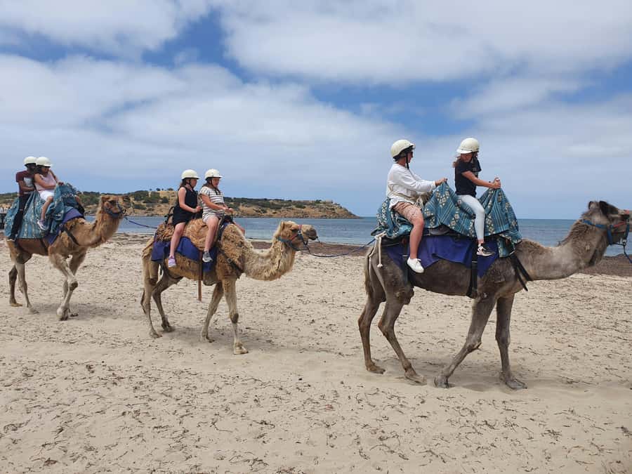 Adelaide: McLaren Vale, Port Elliot & Victor Harbor Tour - The return drive and what the timing really means