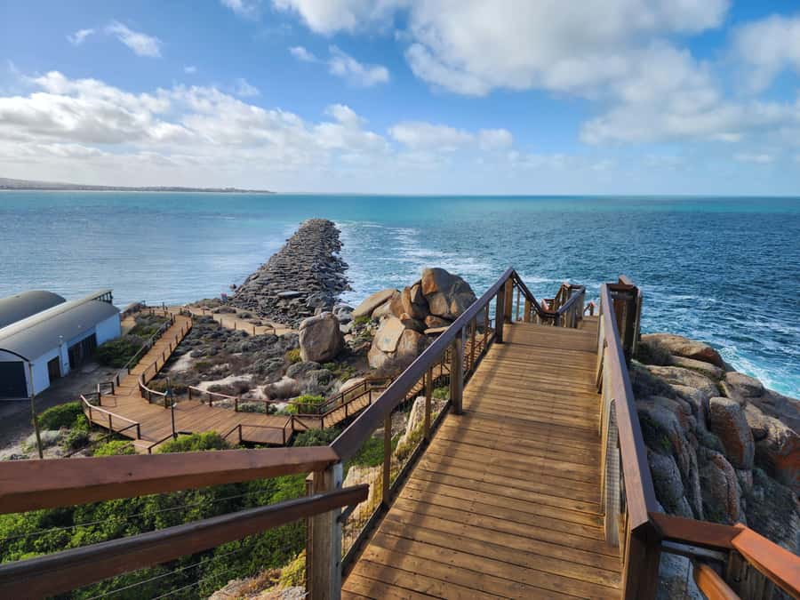 Adelaide: McLaren Vale, Port Elliot & Victor Harbor Tour - Who should book this tour