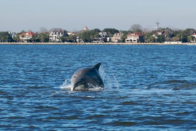 Afternoon Schooner Sightseeing Dolphin Cruise on Charleston Harbor - Boarding the Schooner Pride at Aquarium Wharf