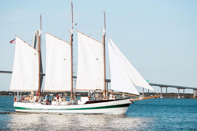 Afternoon Schooner Sightseeing Dolphin Cruise on Charleston Harbor - The Ravenel Bridge and the working harbor