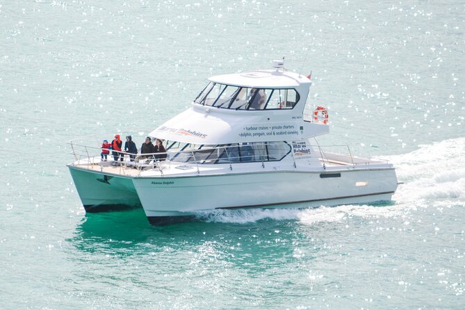 Akaroa Dolphins ~ Harbour Nature Cruise - A roomy catamaran makes the viewing easier