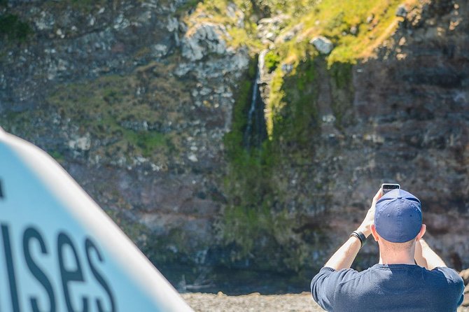 Akaroa Dolphins ~ Harbour Nature Cruise - Booking details worth knowing before you go