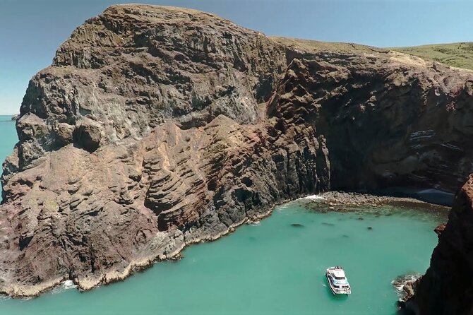 Akaroa Harbour Nature Cruise - What Makes This Cruise Worth Two Hours