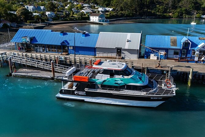 Akaroa Harbour Nature Cruise - Is $77.57 Good Value?