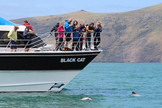 Akaroa Harbour Nature Cruise - Akaroa Harbour’s Volcanic Walls