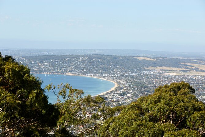 Around the Bay Sightseeing and Bay Cruise - Arthur’s Seat delivers the big view