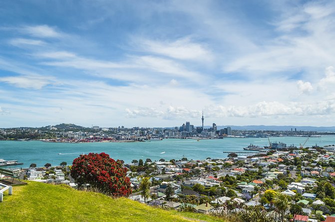 Auckland Harbour Cruise - How useful is the live commentary?