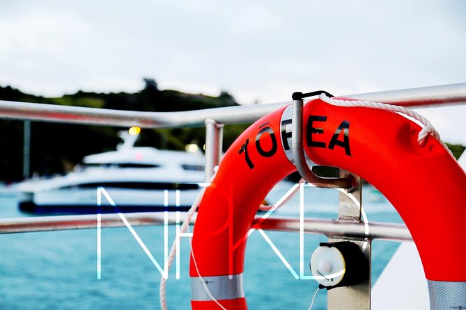 Auckland Harbour Cruise - Practical details that can make or break the afternoon