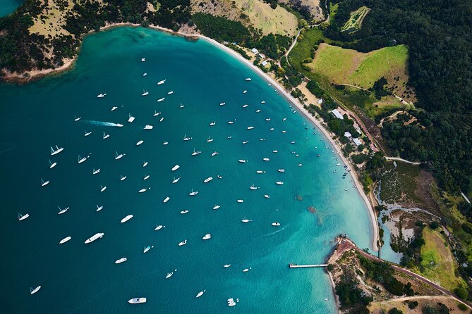Auckland Harbour Sailboat Cruise Including Three Course Dinner - What the $105.50 price really covers