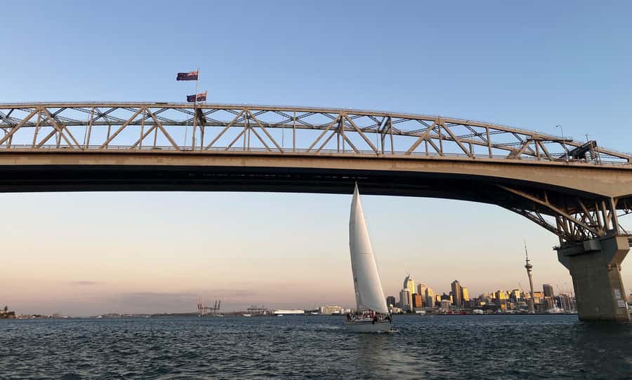 Auckland: Harbour Sailing Cruise with 3-Course Dinner - Sailing Waitematā Harbour on a 50-foot yacht