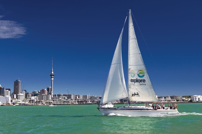 Auckland Harbour Sailing Experience - The sailing section and your chance at the wheel