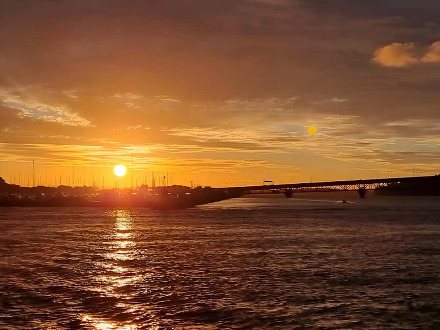 Auckland: Nightlights Harbour Cruise with Canapés and Drink - The Viaduct and Auckland’s waterfront lights