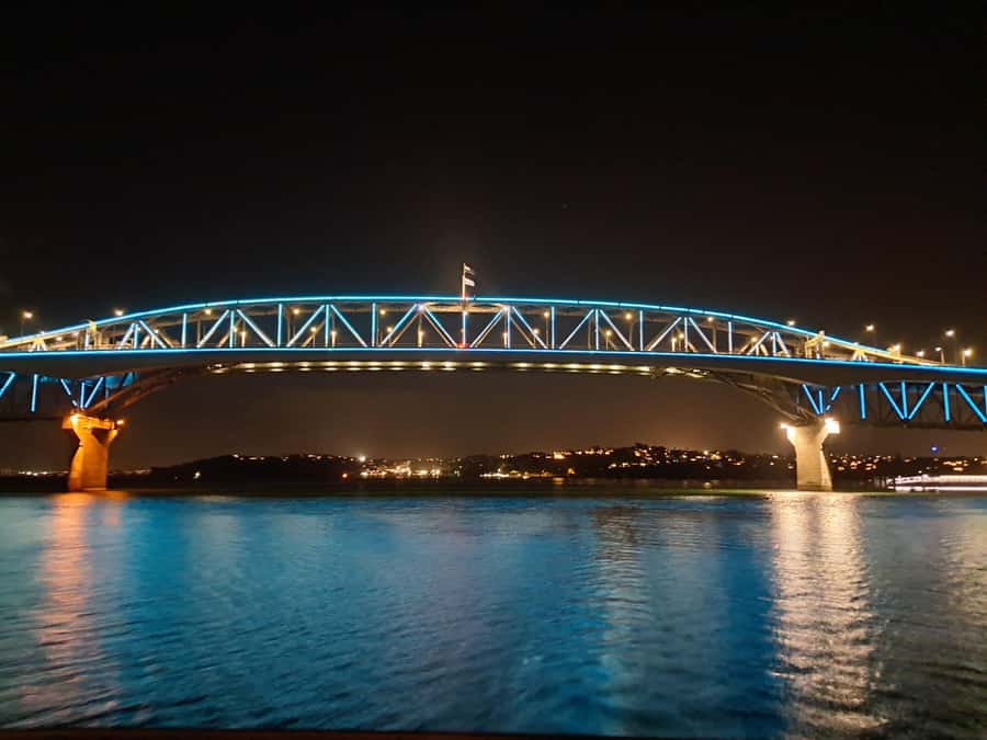 Auckland: Nightlights Harbour Cruise with Canapés and Drink - Who will enjoy this cruise most?