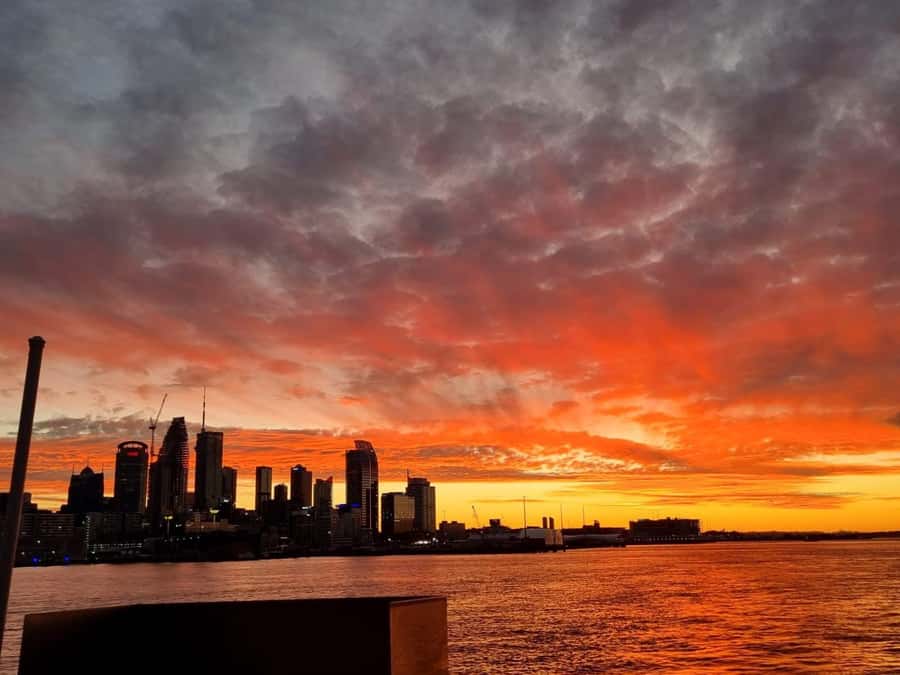 Auckland: Nightlights Harbour Cruise with Canapés and Drink - From Z Pier to the first harbour views
