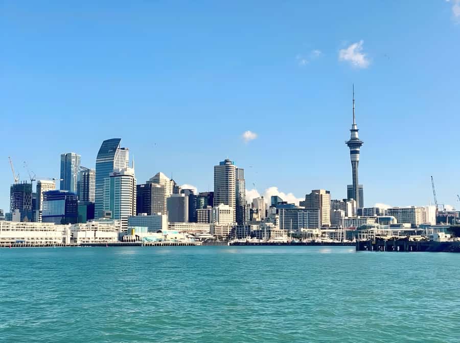 Auckland: Scenic Harbour Cruise with Live Commentary - Choosing Between Indoor and Outdoor Views