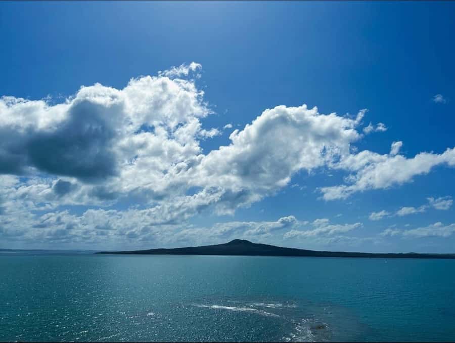 Auckland: Scenic Harbour Cruise with Live Commentary - Drinks on the Water