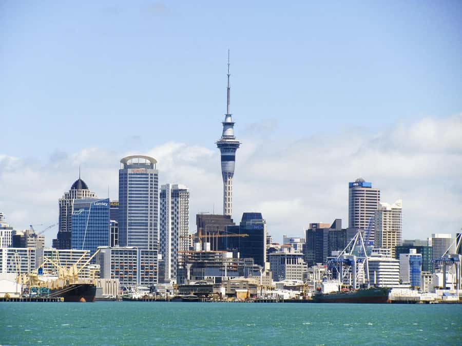 Auckland: Scenic Harbour Cruise with Live Commentary - What the 90 Minutes Actually Feels Like