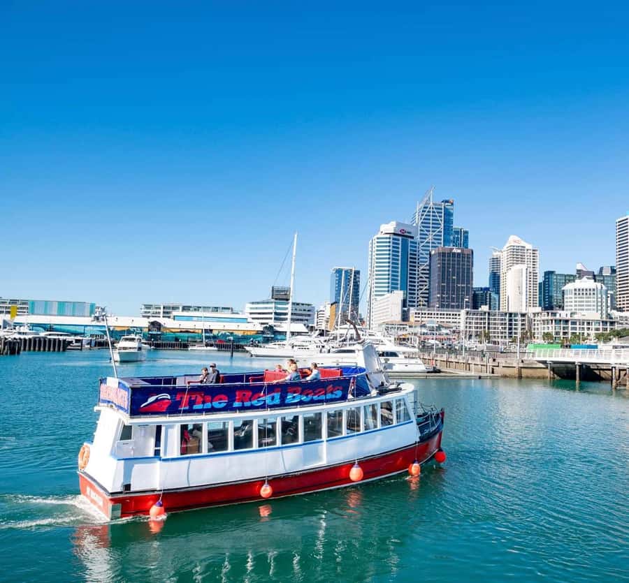 Auckland: Scenic Wine and Cheese Harbour Cruise - How the price compares with the experience