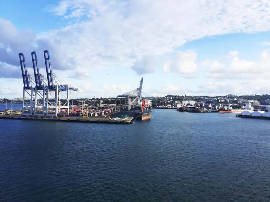Auckland: Scenic Wine and Cheese Harbour Cruise - Practical advice for making the afternoon work