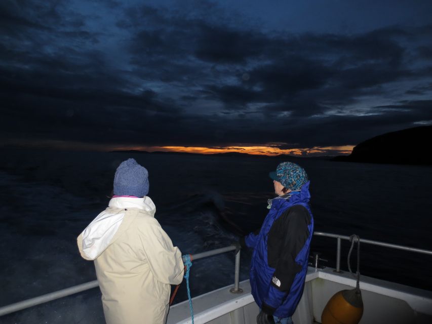 Baltimore Harbor: Sunset Cruise to Fastnet Rock Lighthouse - Circling Fastnet Rock from every angle