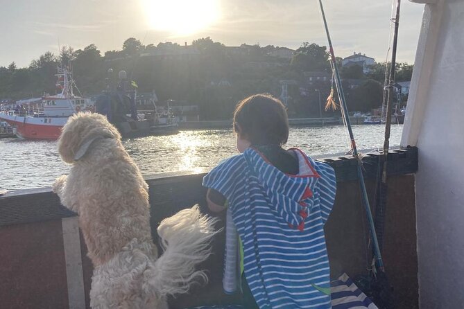 Boat Tour of Kinsale Harbour and Bandon River - Weather and the Strict Cancellation Rule
