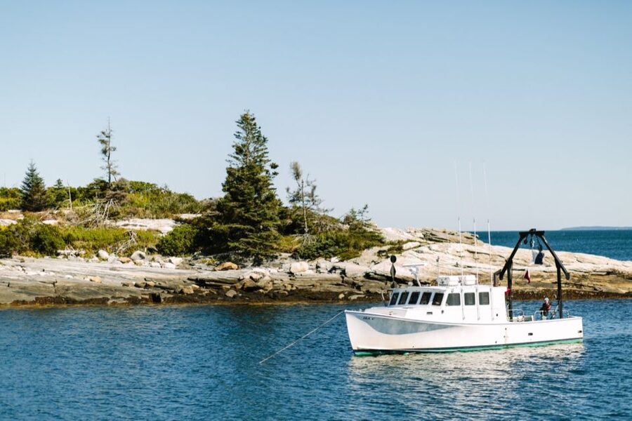 Boothbay Harbor: Pemaquid Point & John's Bay Cruise - Seals, birds, and the open-air deck