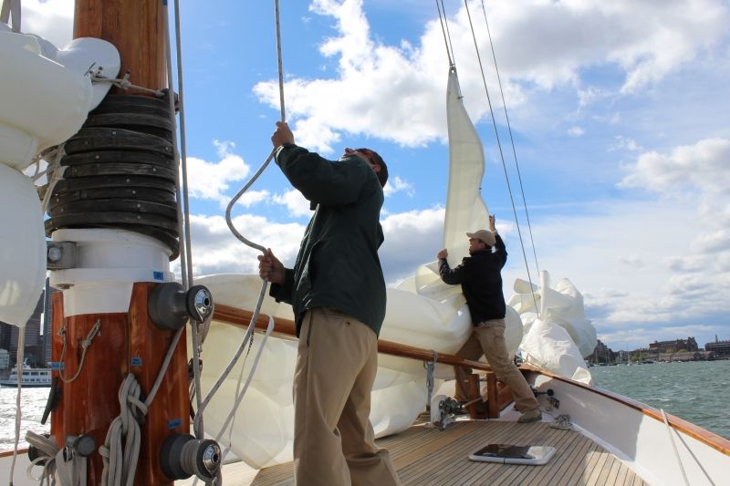 Boston: Downtown Harbor Sailing Cruise - Price, Timing, and Practical Value