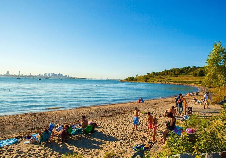 Boston Harbor Islands Ferry - Ranger Programs and Self-Guided Time