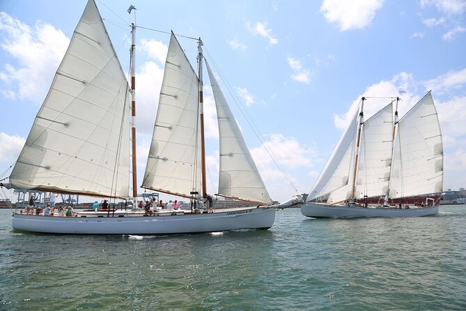 Boston Harbor Sunset Sail Tour - Who Will Enjoy This Sailing Most