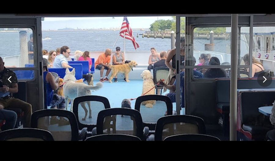 Boston: Scenic Harbor Cruise (Dog-Friendly) - Meeting the USS Constitution from the water