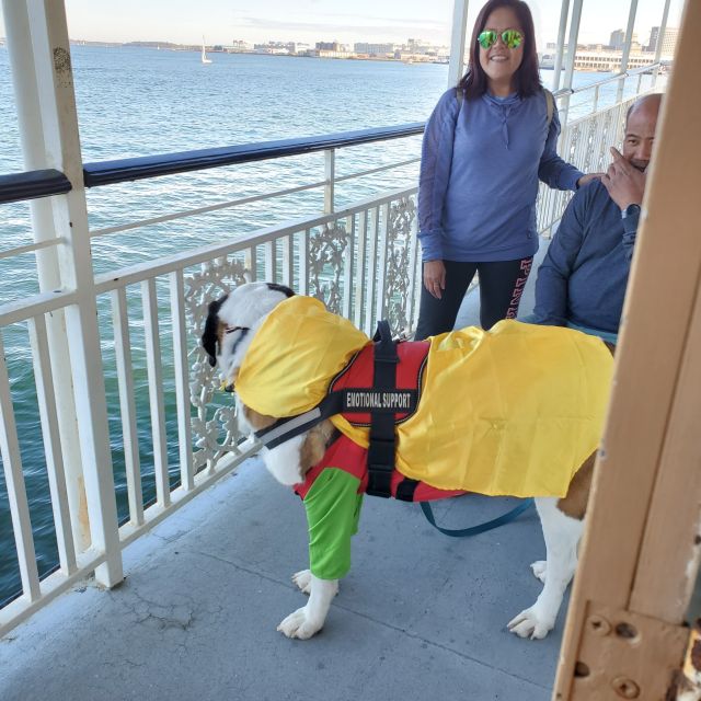 Boston: Scenic Harbor Cruise (Dog-Friendly) - Open-deck seating, dogs, and the family factor