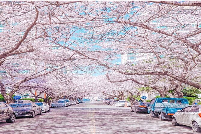 Busan Cruise Port – Premium Small Group Tour (Max 6 Guests) - Naeri-gil and the quiet beauty of hanok homes