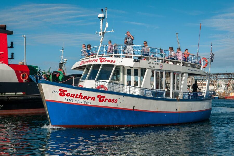 Cape Town: 30 Minute Harbour Boat Cruise with Seal Watching - Key points to know before boarding