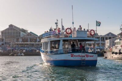30 Minute Harbour Boat Cruise with Seal Watching