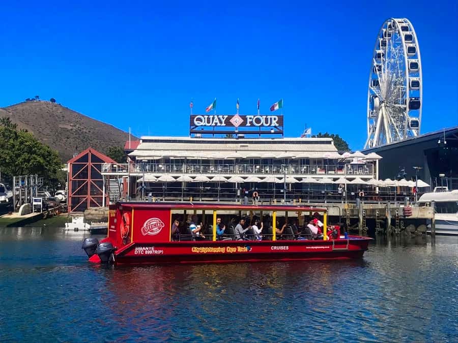 Cape Town: 30 Minute Seal-Watching Harbour Cruise - What happens during the 30-minute harbour route