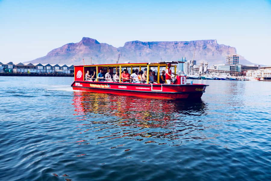 Cape Town: 30 Minute Seal-Watching Harbour Cruise - Table Mountain and Signal Hill from the water
