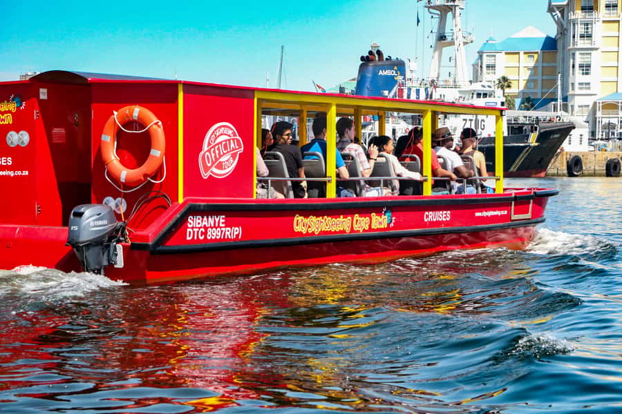Cape Town: 30 Minute Seal-Watching Harbour Cruise - Practical tips for getting more from the ride