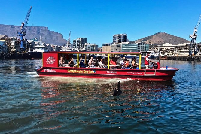 Cape Town 30-minute V&A Harbour Cruise - Why this short cruise works in Cape Town
