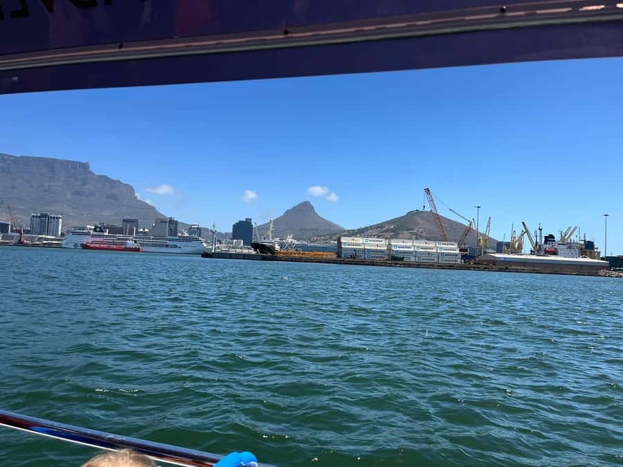 Cape Town: Harbor Cruise - The 30-Minute Route Around the Old Harbour